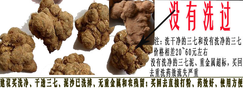 三七洗净和没有洗过三七对比图