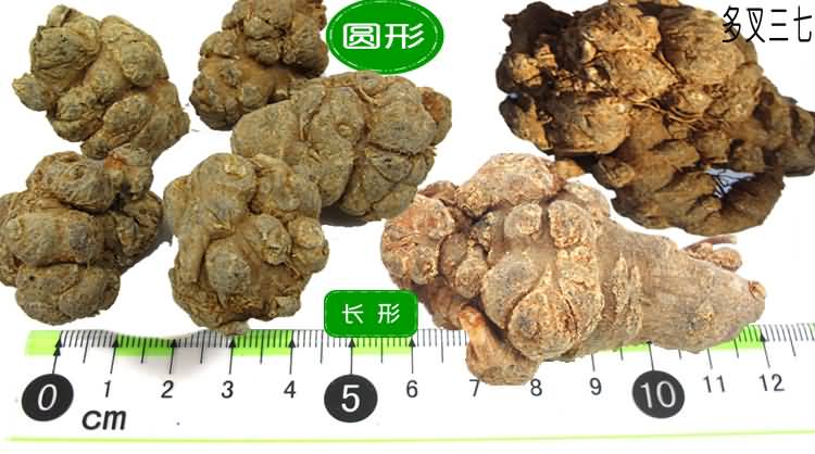 三七头区别