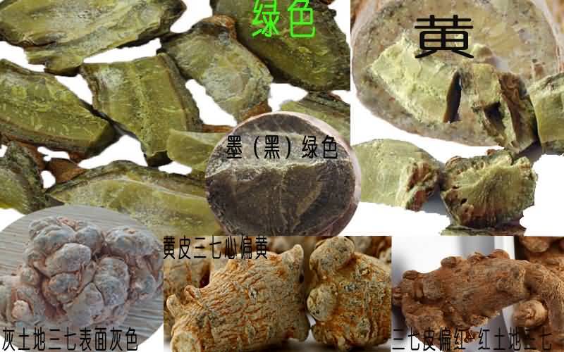 20头三七切开颜色
