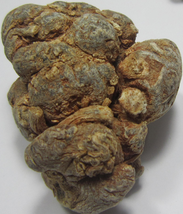 20头水洗三七图片