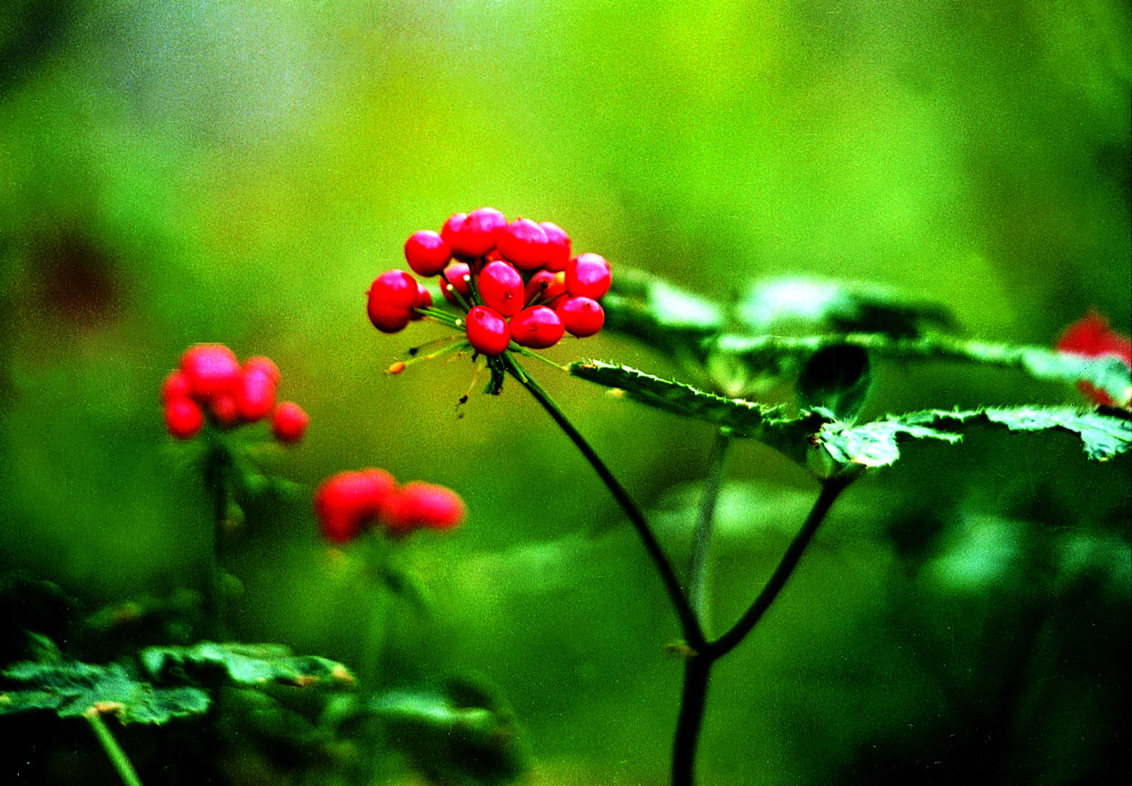 ߵ;֪ʶ