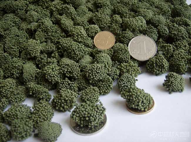 ͷ߻