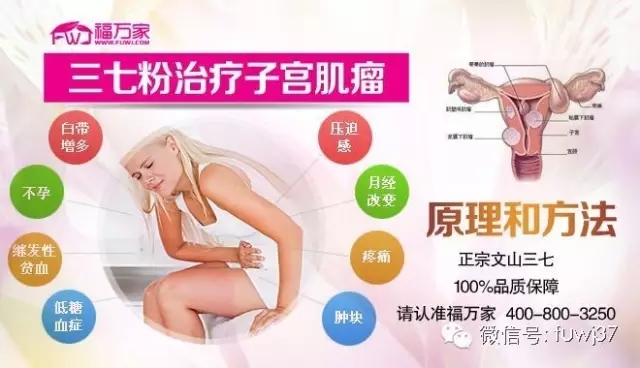 三七粉改善子宫肌瘤的原理和方法