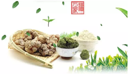三七 文山三七