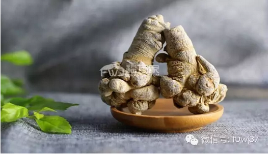 文山三七 文山三七