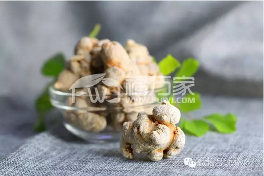 三七 文山三七