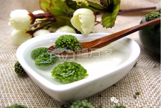 三七花 三七花