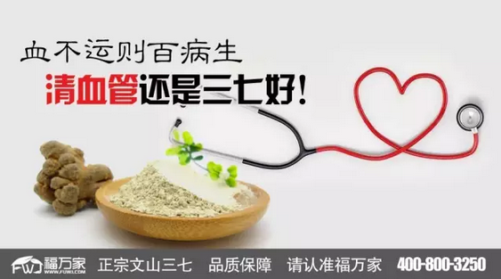 文山三七 文山三七清血管