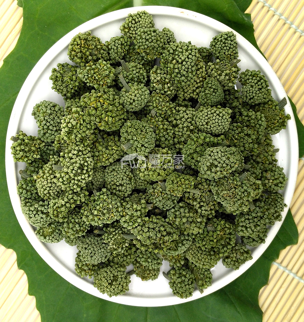 三七花 什么是三七花