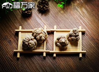 三七 文山三七
