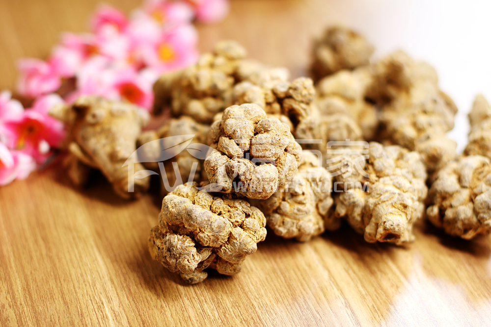 ��ɽ�����Ŷ�