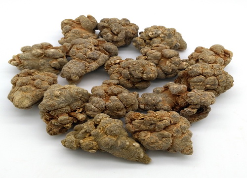 三七 文山三七解决高血脂症