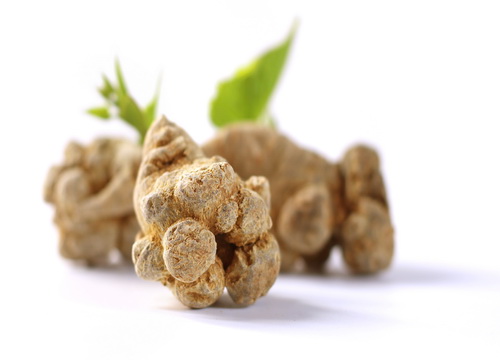 ���ߵ�������