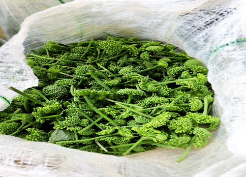 ���߻���Ч