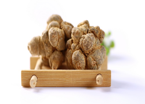三七种植