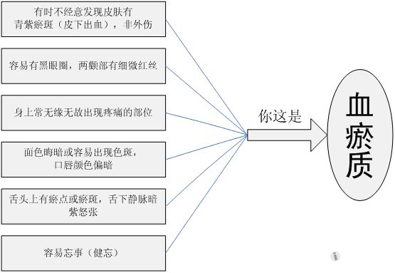 血液循环图