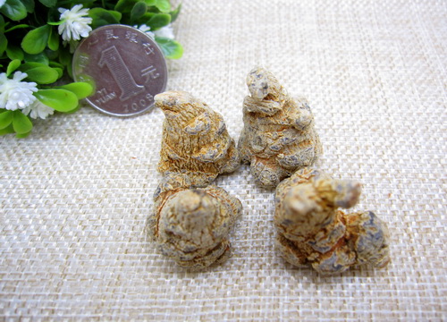 三七美白