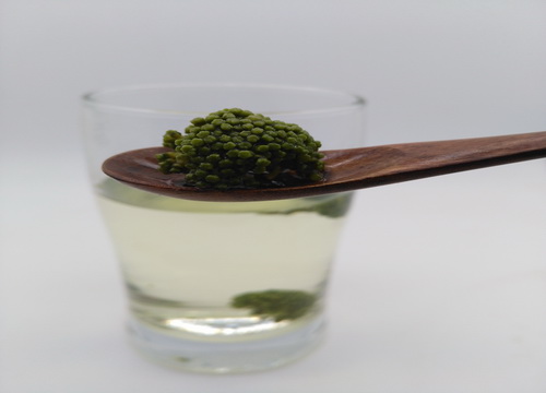 三七花茶