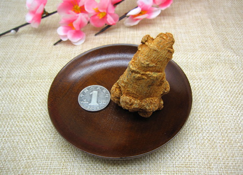 三七