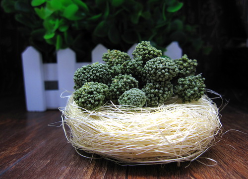 三七花
