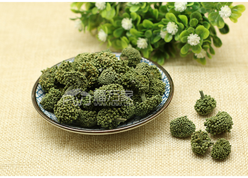 三七花的用途 药用价值有哪些？