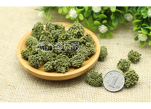 9个关于三七花的常见问题