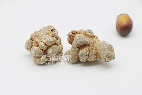 哪里的三七好?