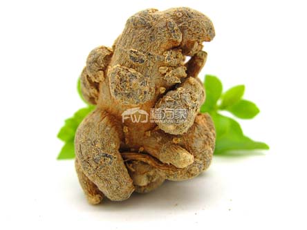 三七粉每天吃多少适宜？