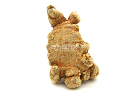 三七粉哪里产的好