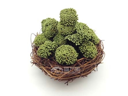 优质三七花