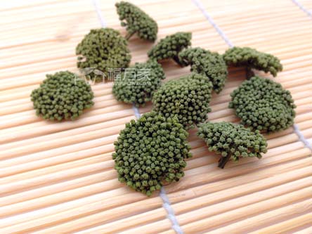 好的三七花