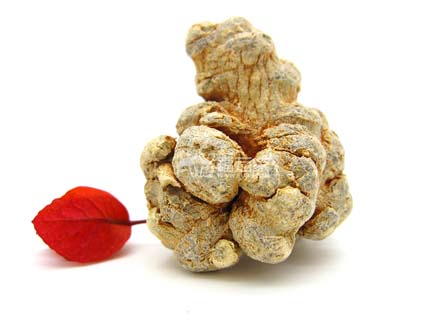 文山三七