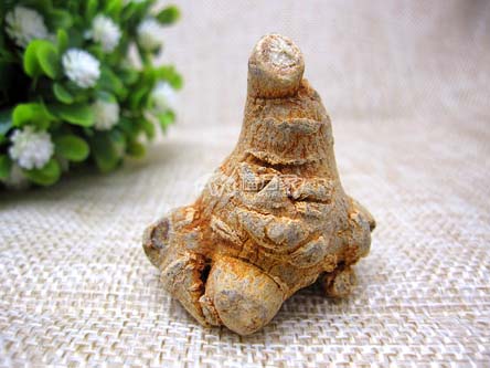 三七