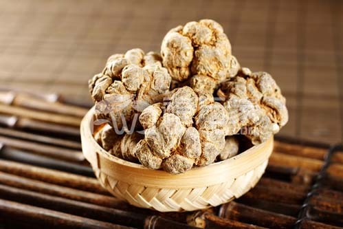 大个头的文山三七好