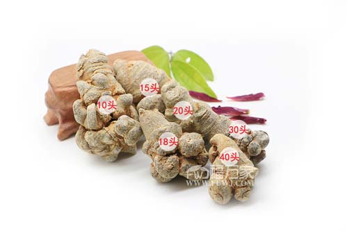 不同大小的三七