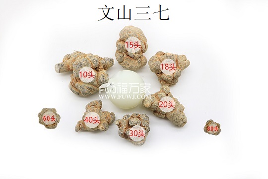 好的三七
