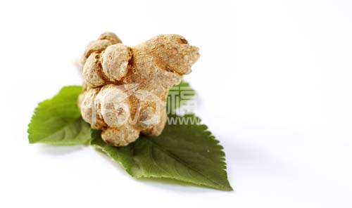 新的三七