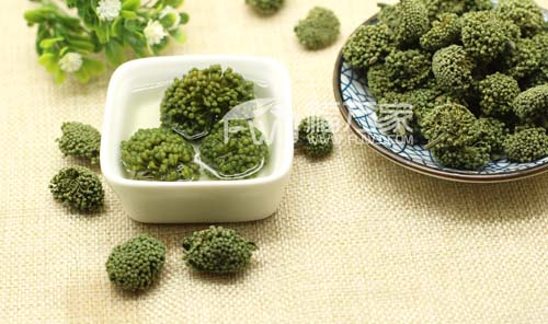 三七花的效果好