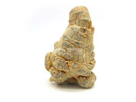 三七光滑的好