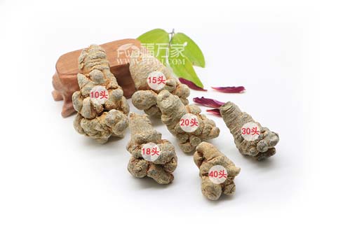 几头三七好