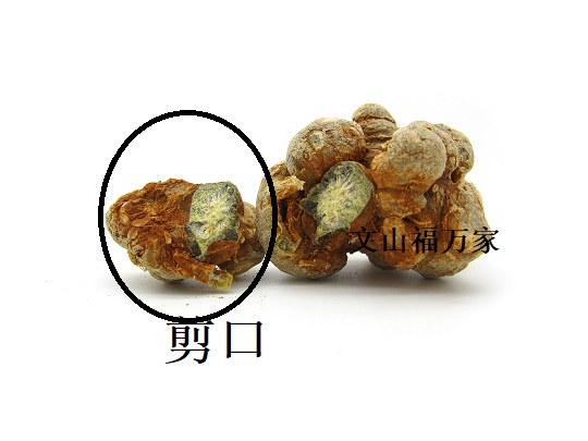 Ҫӵĺûĺã