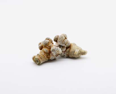 哪里的三七好